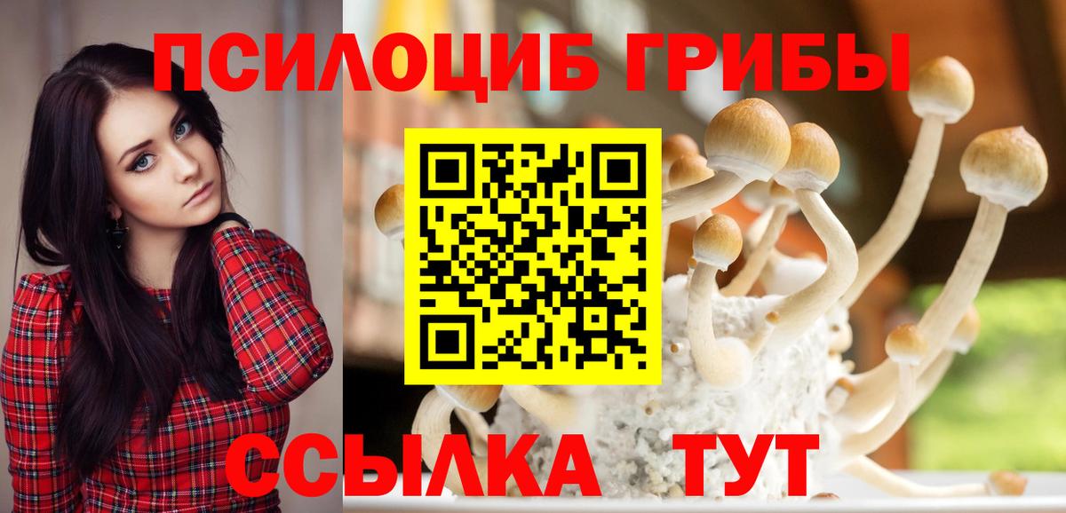 Псилоцибиновые грибы GOLDEN TEACHER  Вход с VPN  Джанкой 