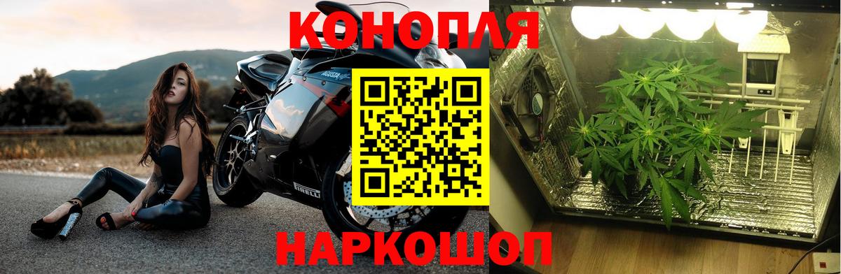 Джанкой  Конопля THC 21%  Бошки марихуана семена  Вход с VPN  Каннабис ГИДРОПОН  Канабис индика 