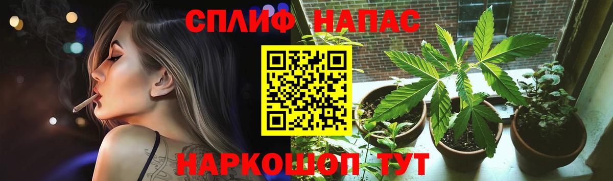 Конопля конопля Джанкой